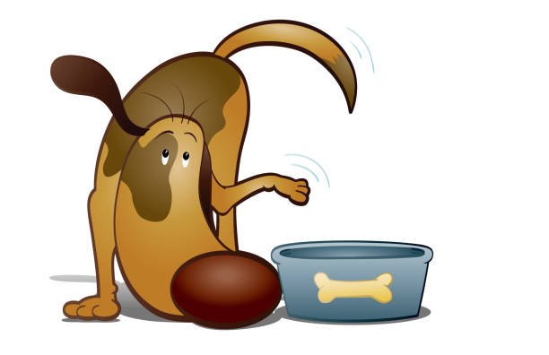 Nourrir son chien