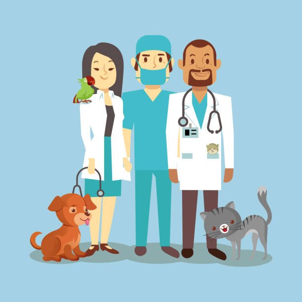 Les frais vétérinaires ne sont pas à négliger quand on a un chien ou un chat