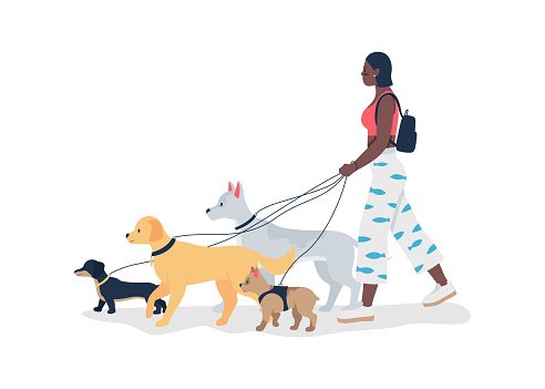 Dog sitter