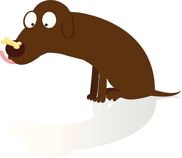 Faire garder son chien