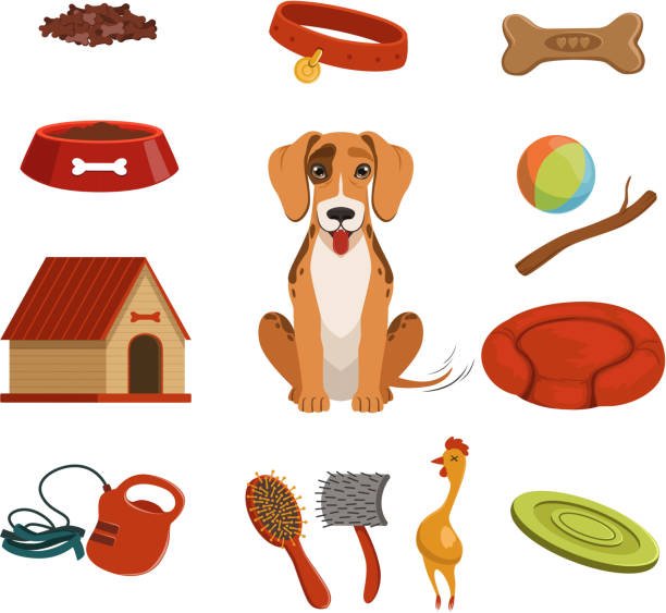 Adopter un chien dans un refuge