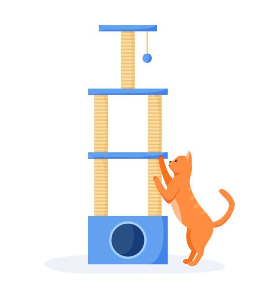 Arbre à chat