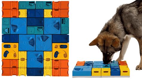 Jeu cognitif pour chien