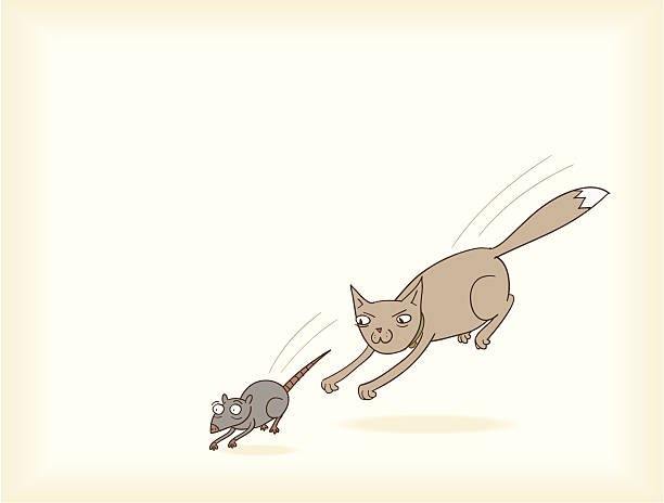 Chat qui chasse une souris