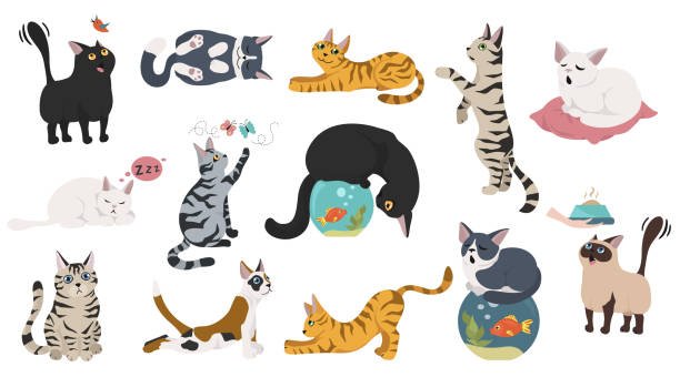 Chaque chat est unique