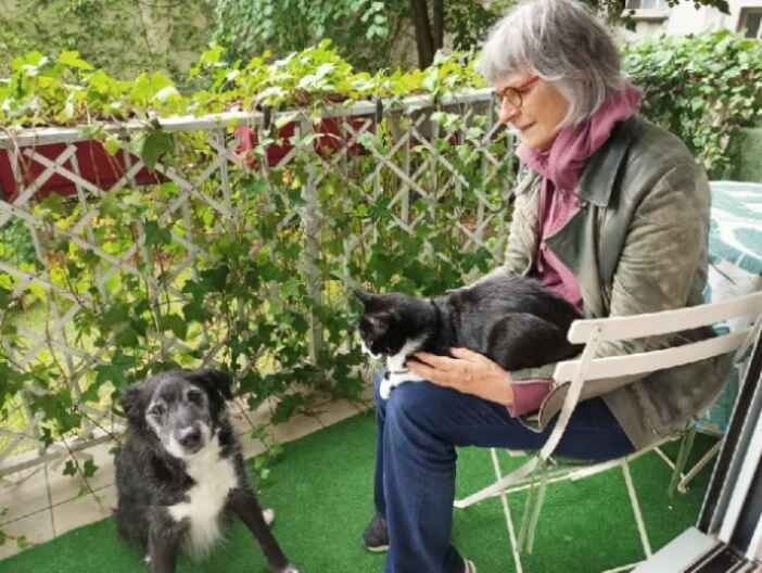 Cohabitation chien chat