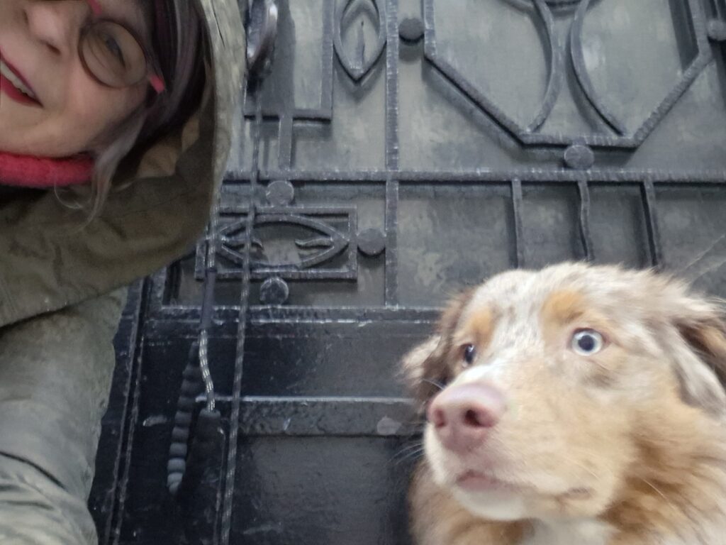 Les aventures d'un éducateur canin