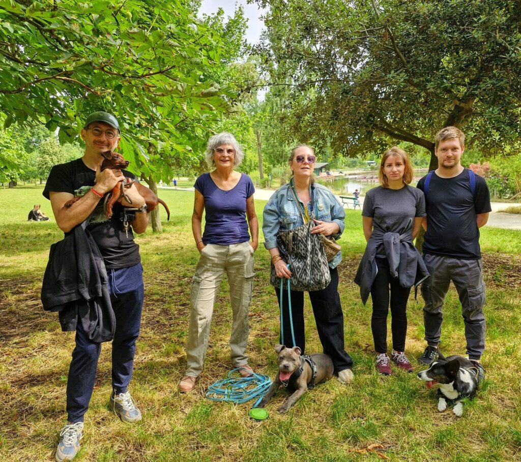 Educateur canin organisant une rencontre chiots chiens adultes