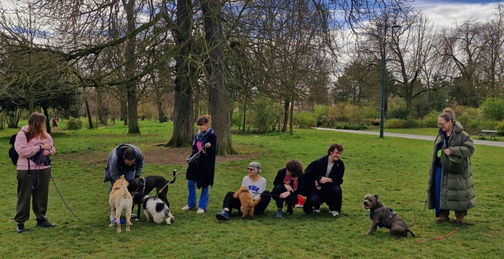 Rencontre au Bois de Vincennes humains, chiots, chiens adultes : éducateur canin, le rêve !