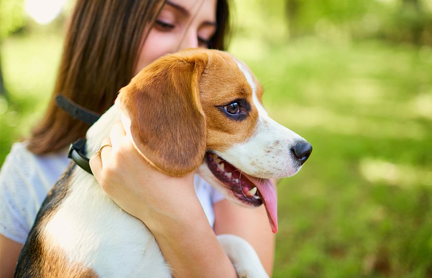 S'adresser à son chien structure son quotidien