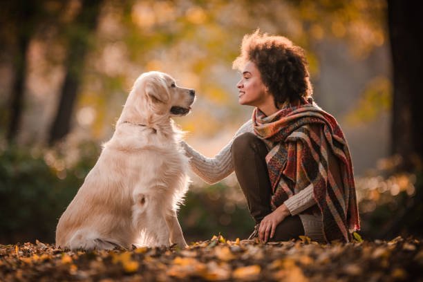 Parler à son chien fait du bien