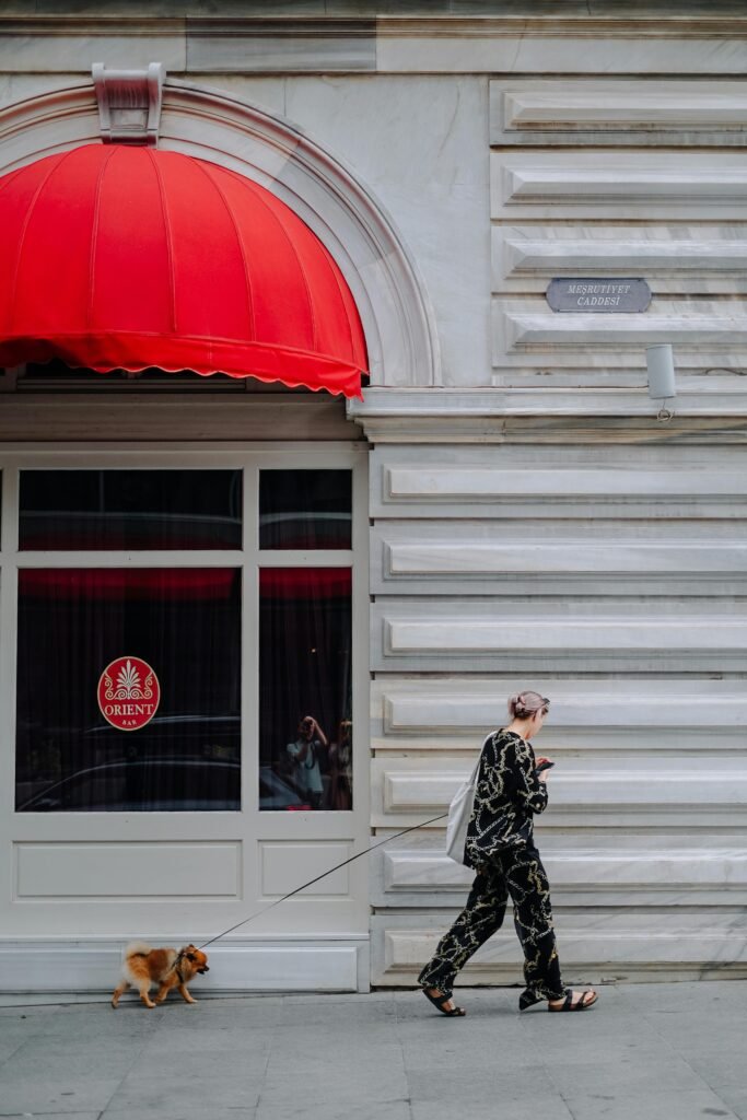 Promener son chien avec son téléphone