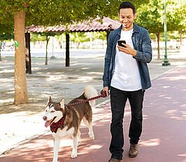 Homme sur son portable en promeande avec son Husky